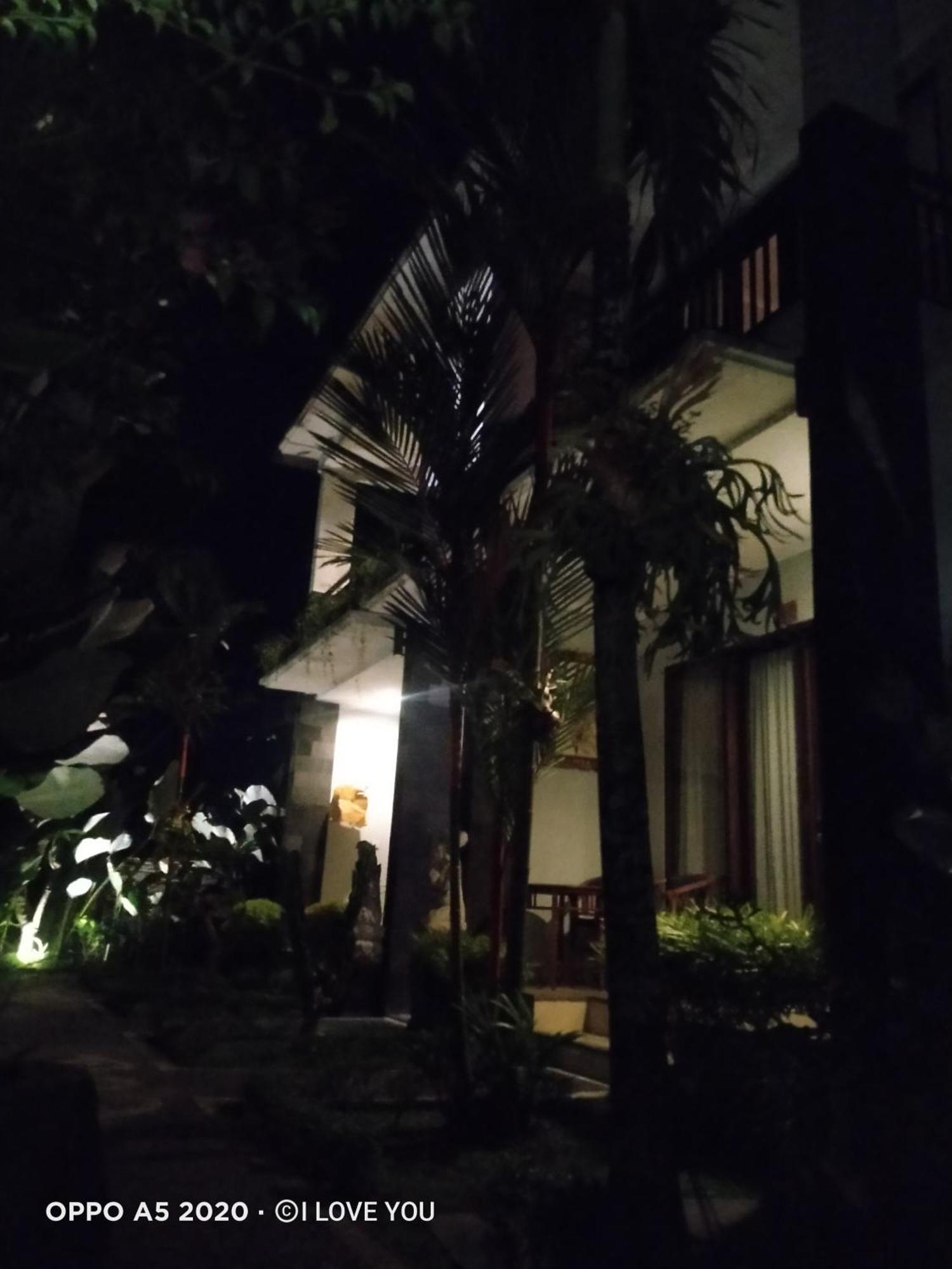 Nugraha Guest House 2 Ubud Kamer foto